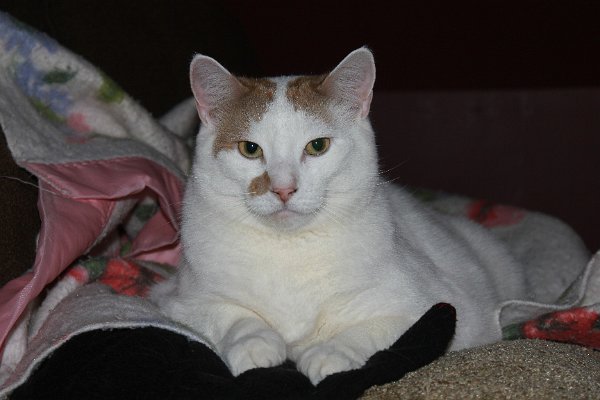 New Camera Dec2010 332